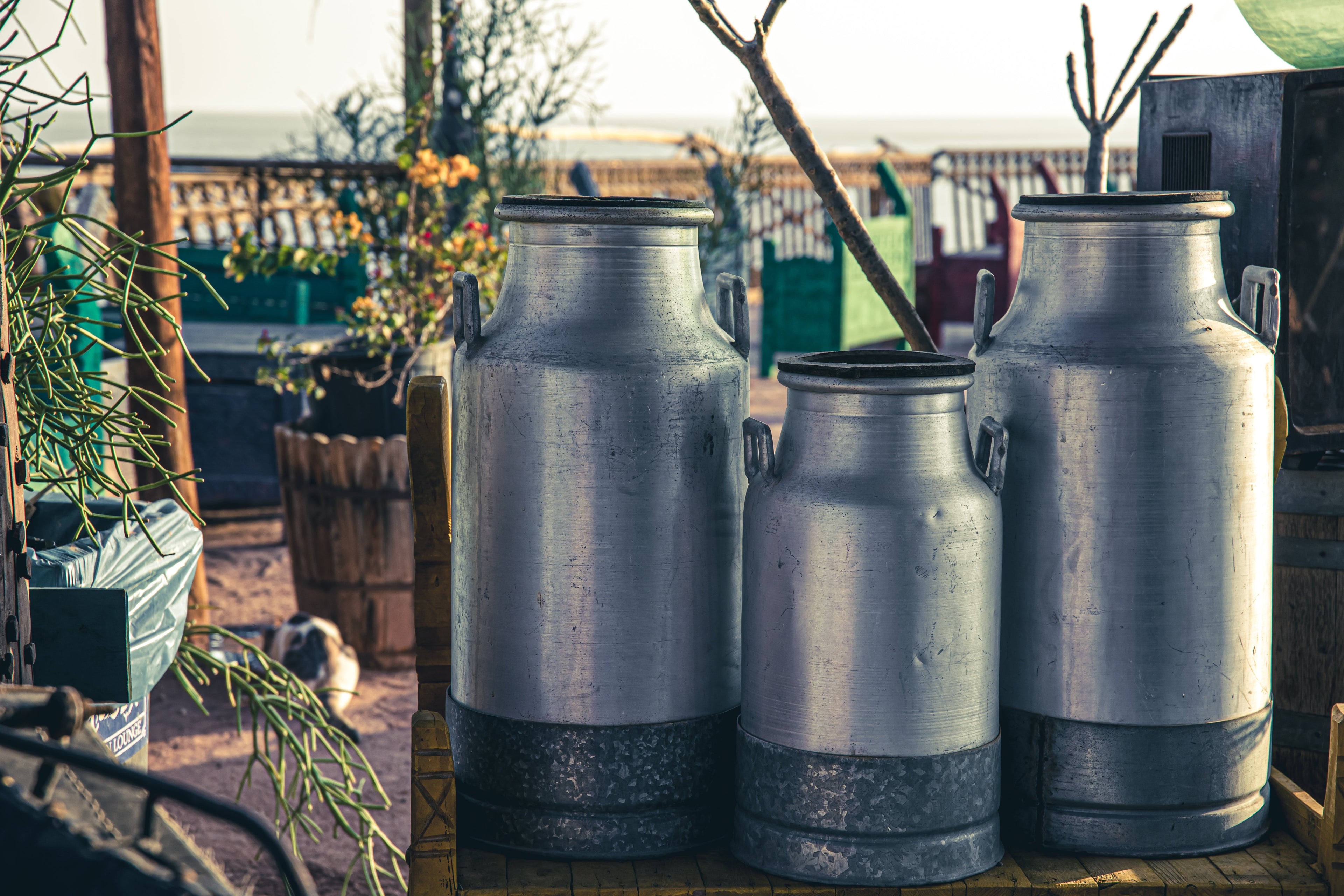Oil Tanks