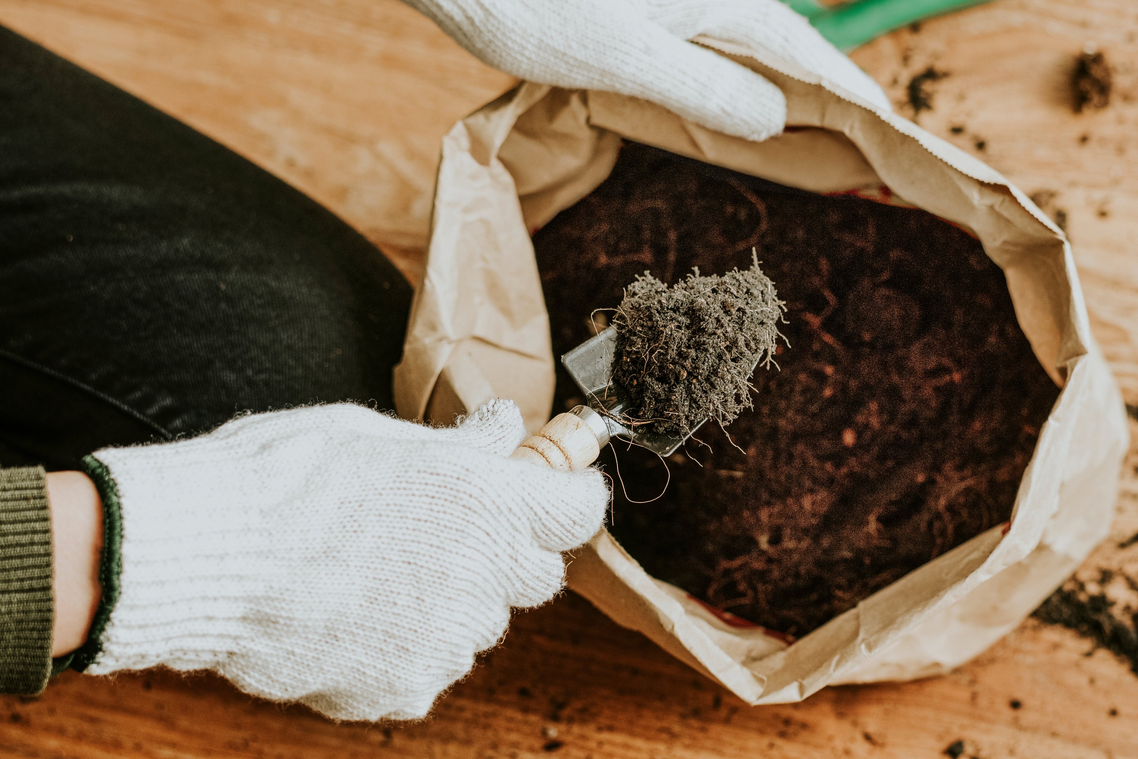 Potting Soil