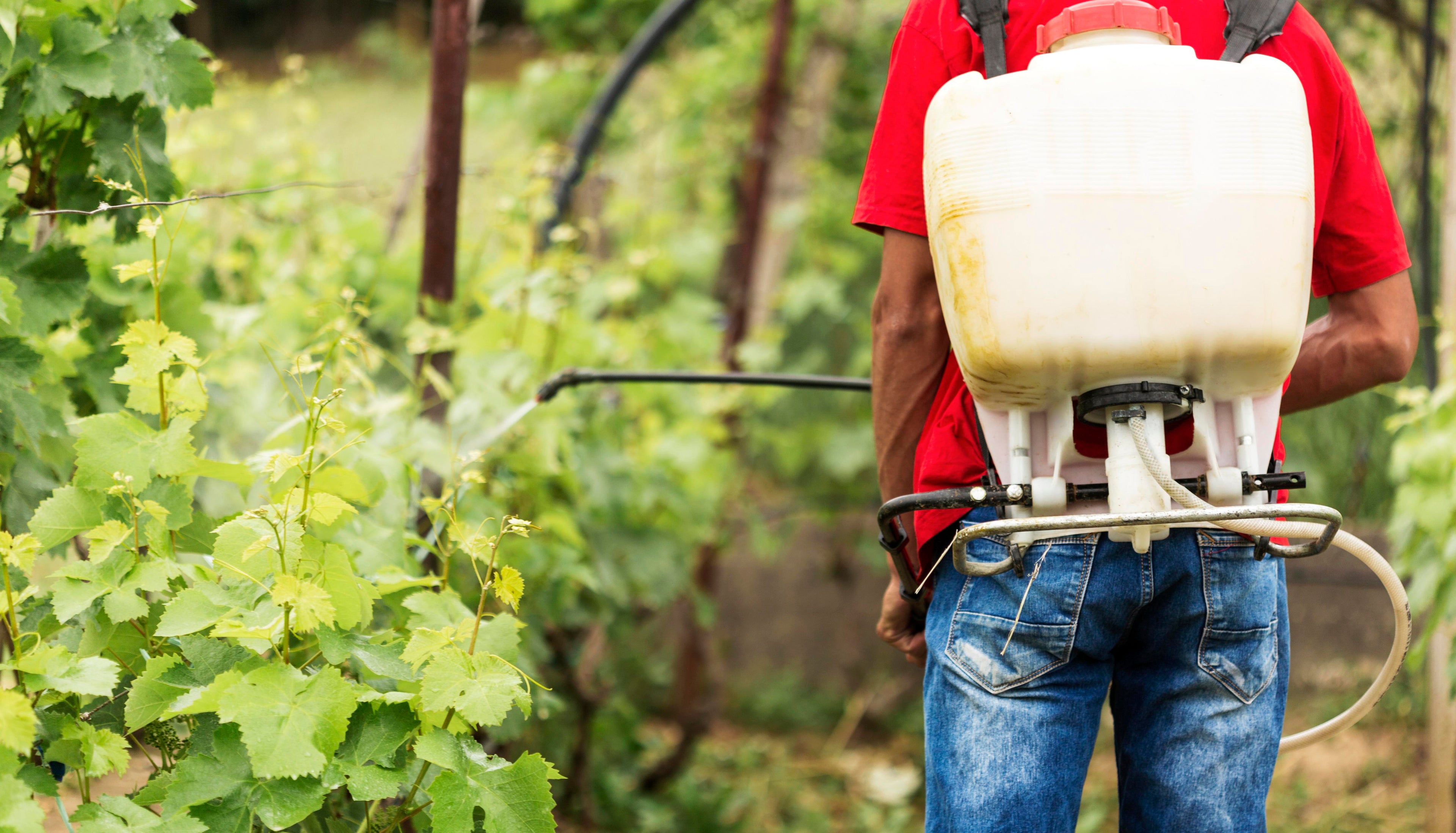 Sprayers