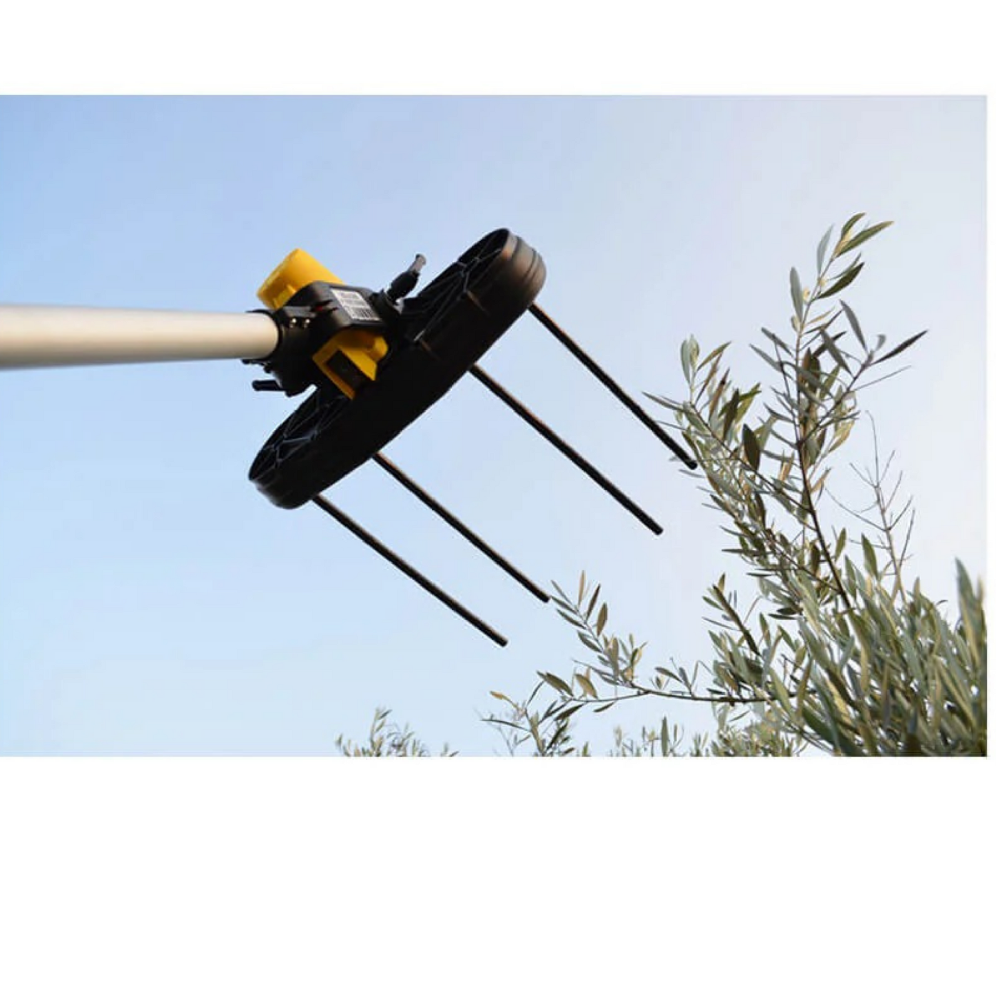 Volpi Giulivo 4YOU 706 Battery-powered Electric Olive Harvester- Fixed Pole Olive Shaker