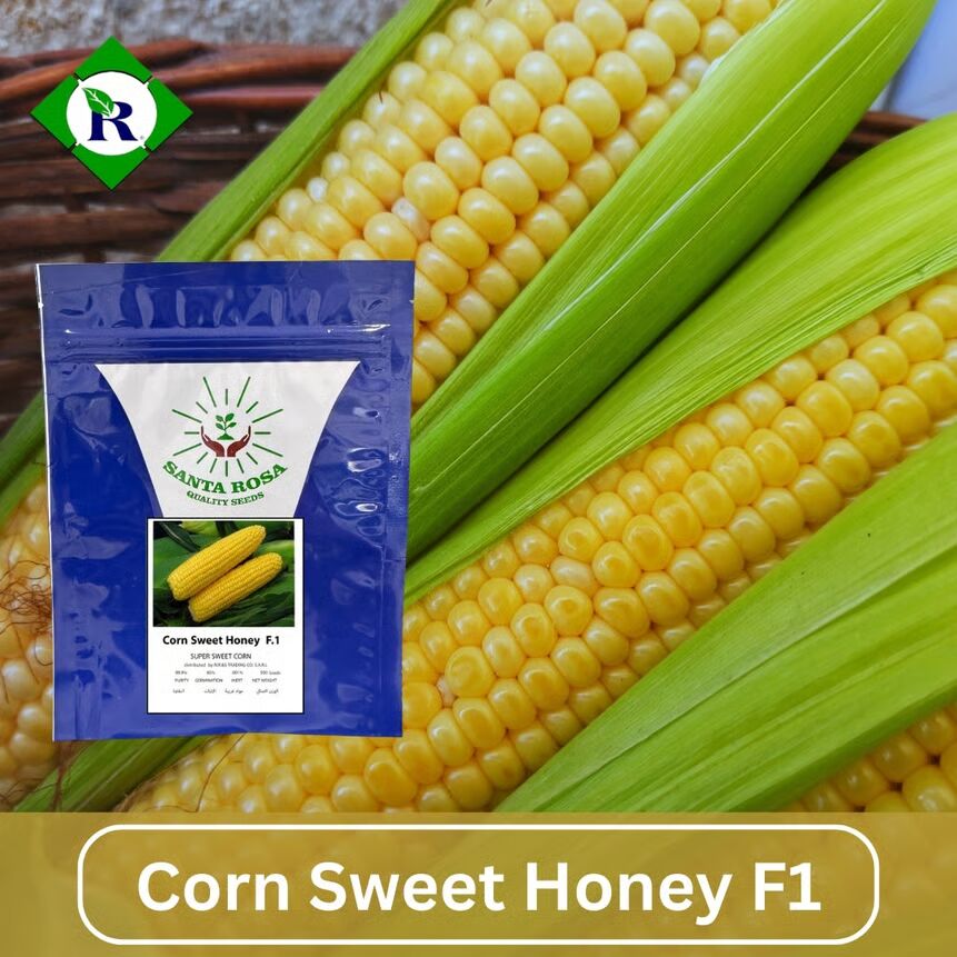 Corn Sweet Honey F1 500 Seeds