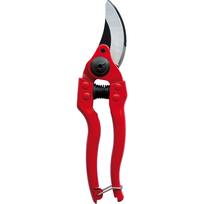 SCISSOR BELLOTA 8