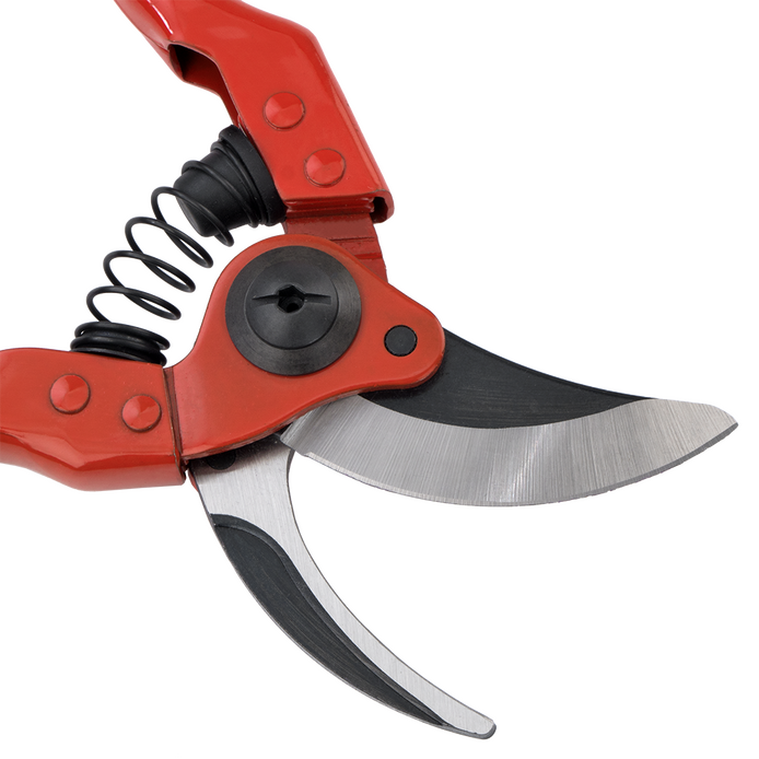 SCISSOR BELLOTA 8