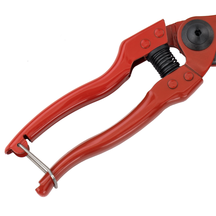 SCISSOR BELLOTA 8