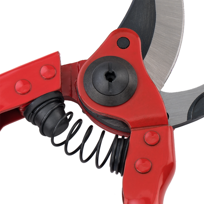 SCISSOR BELLOTA 8