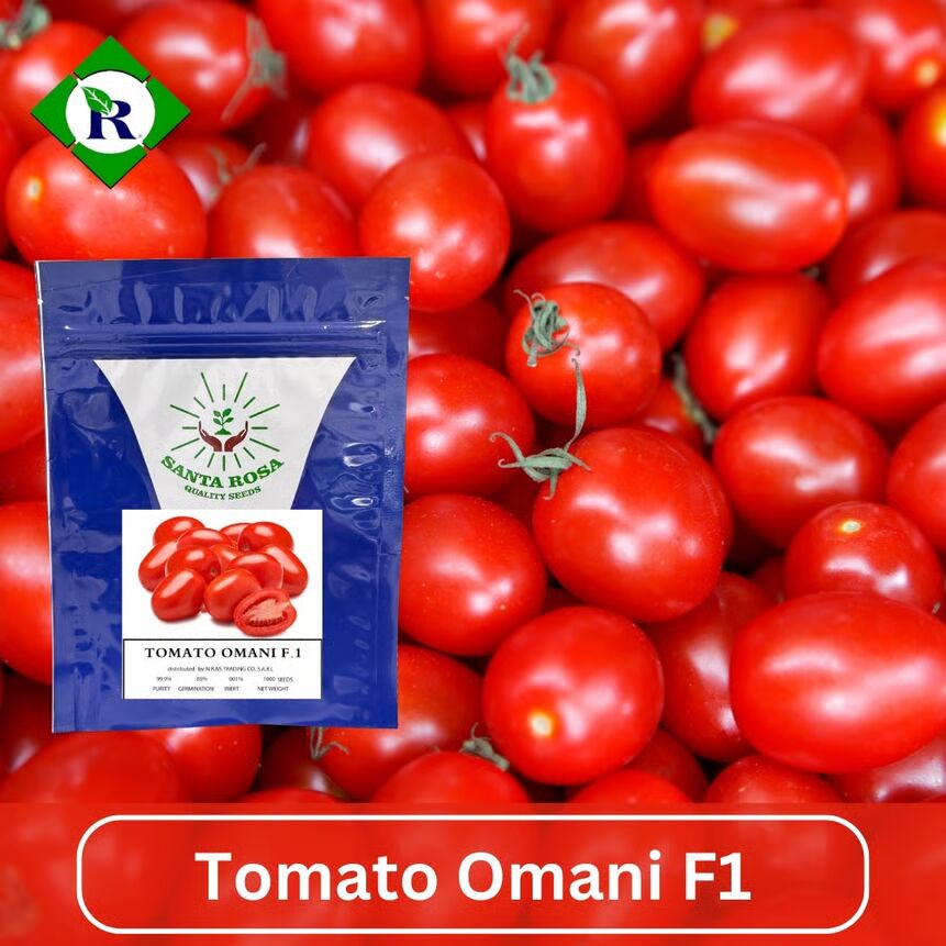 Tomato Omani F1 500 Seeds